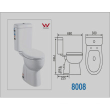 Rangement en céramique avec sanitaire et lavage en deux pièces avec filigrane (A-8008)